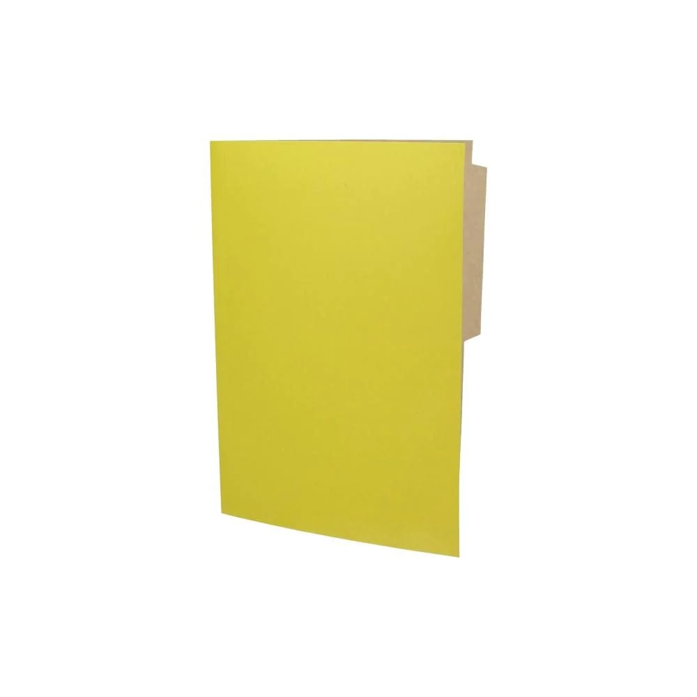Foto Carpeta cartulina pigmentada amarilla