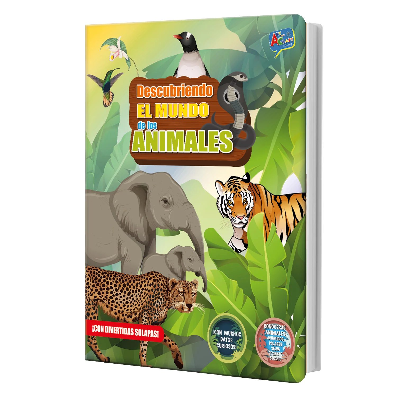 Imagen principal del producto